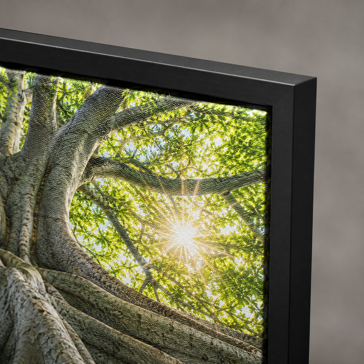 Quadro Árvore Verde e Raízes Iluminadas