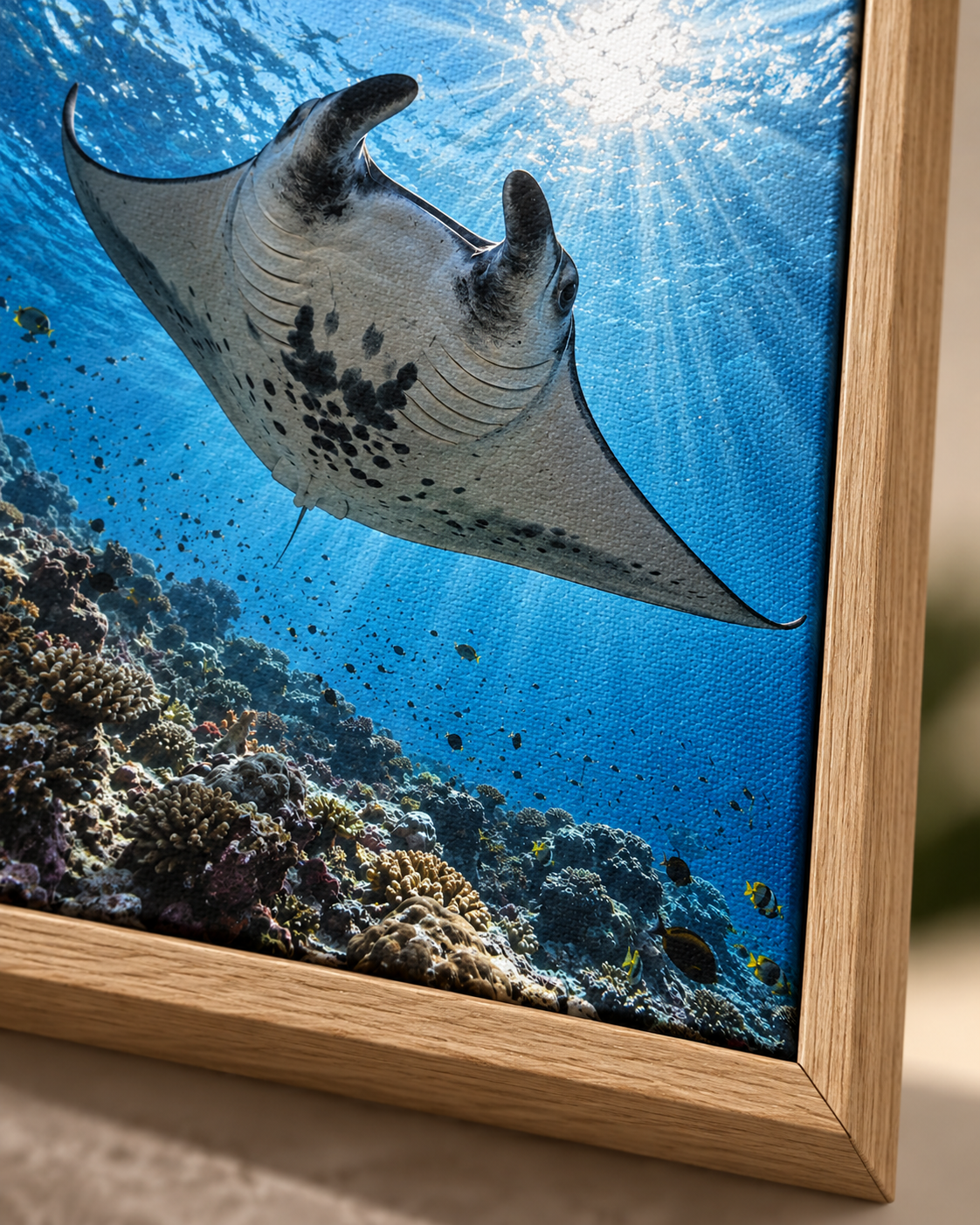 Quadro Arraia-Manta sobre Recife de Coral