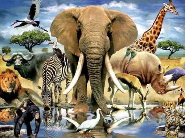 Animais