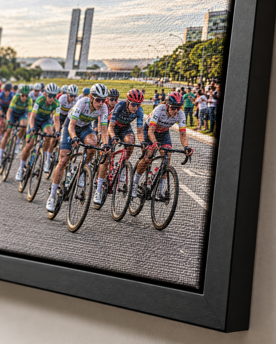 Quadro Ciclismo em Brasília