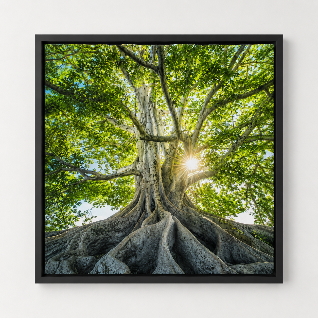 Quadro Árvore Verde e Raízes Iluminadas