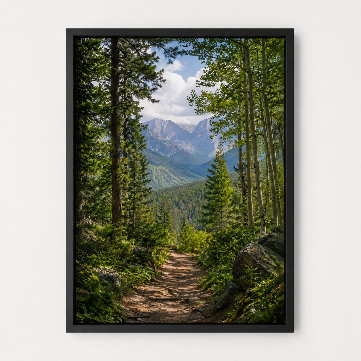 Quadro Trilha na Floresta e Montanhas