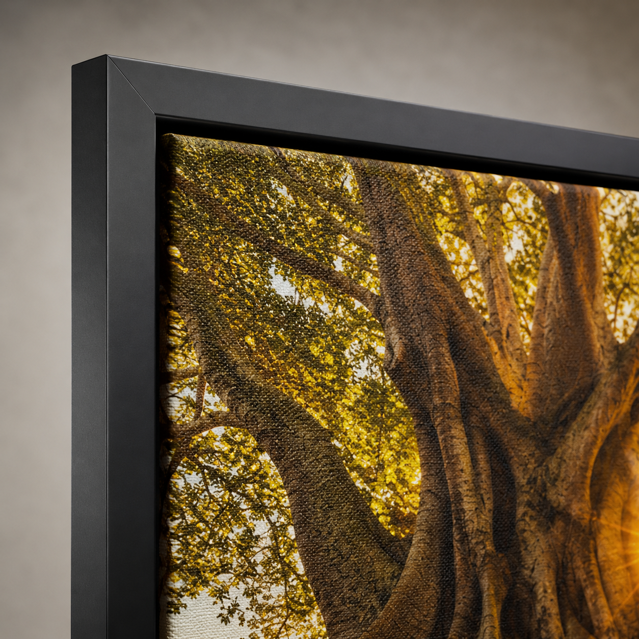 Quadro Árvore Monumental e Raízes