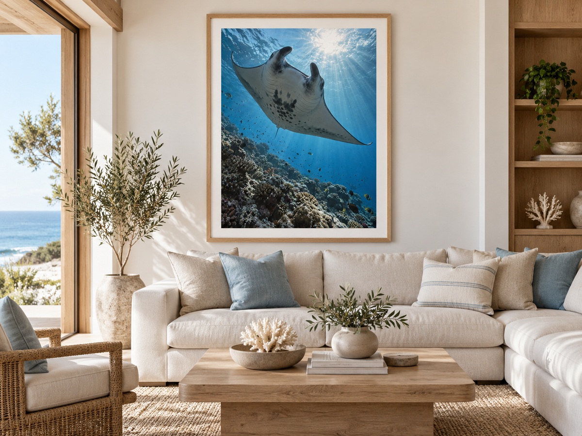 Quadro Arraia-Manta sobre Recife de Coral