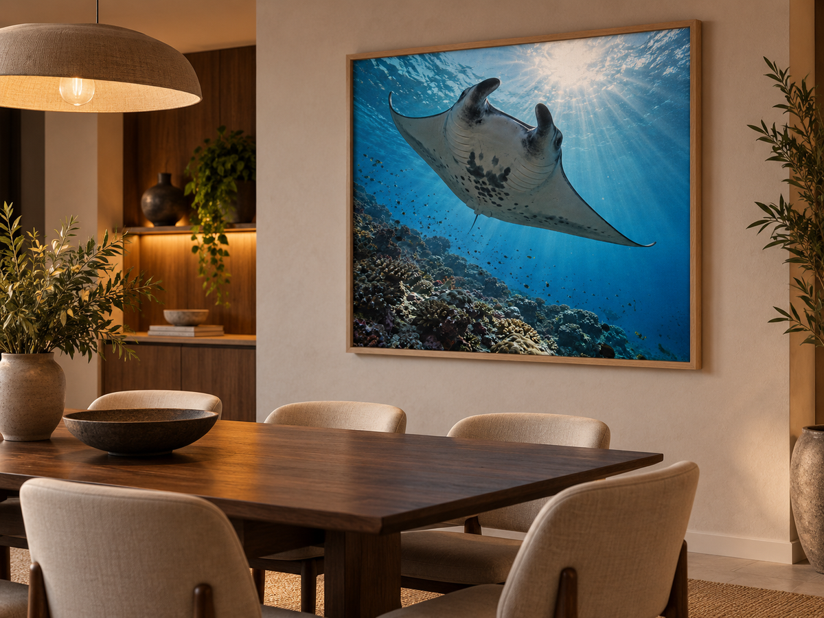 Quadro Arraia-Manta sobre Recife de Coral