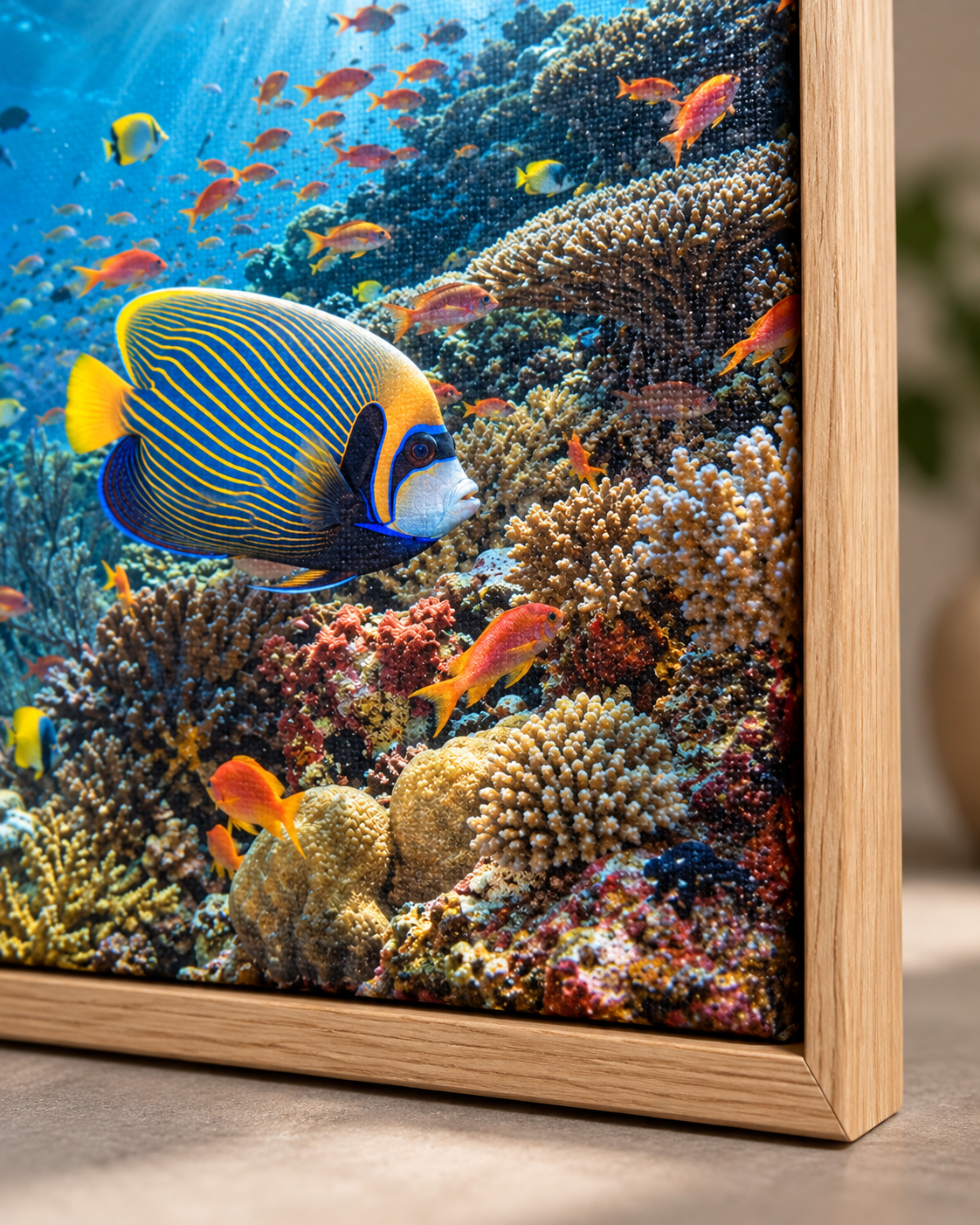 Quadro Peixe-Anjo-Imperador no Recife de Coral