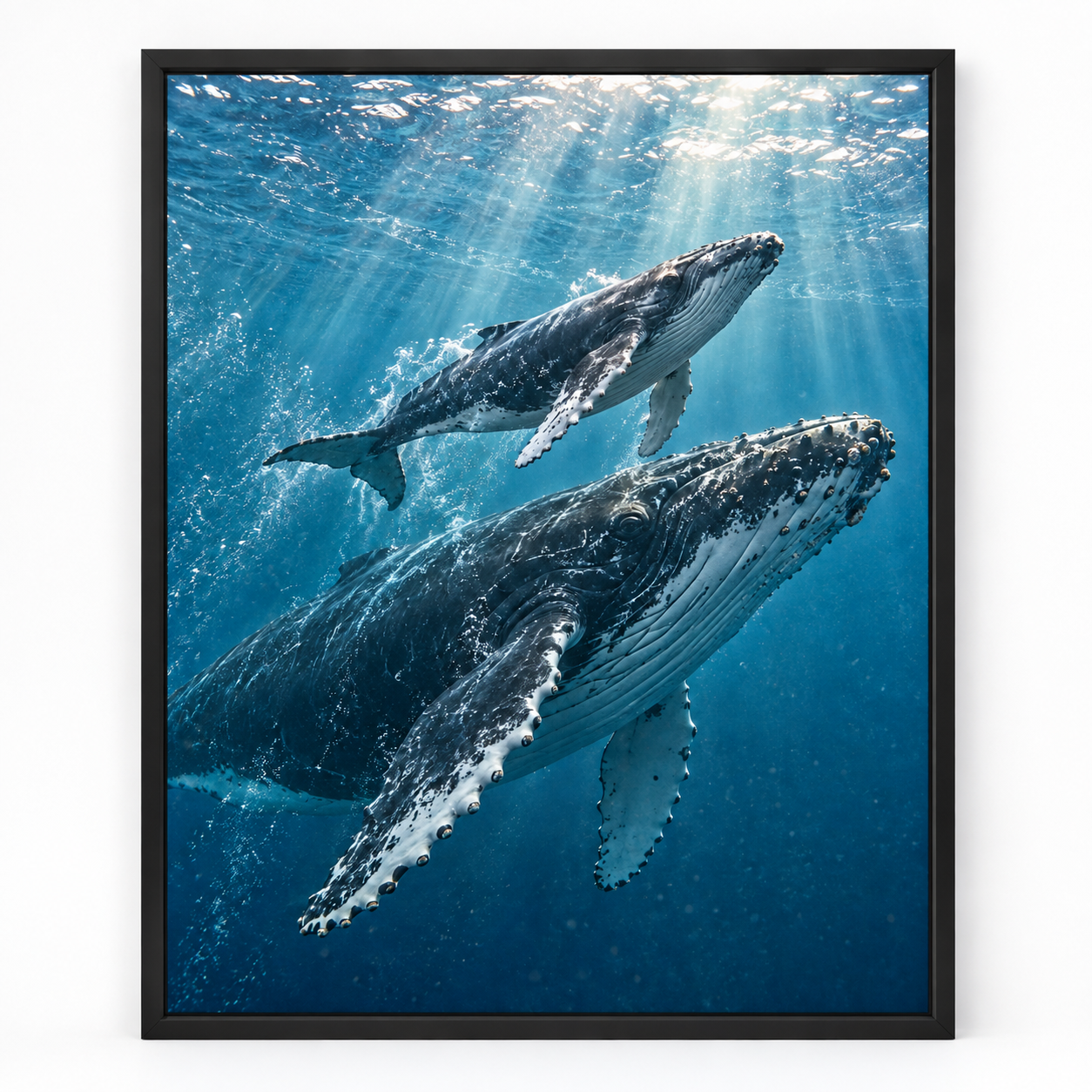 Quadro Baleias-Jubarte no Oceano
