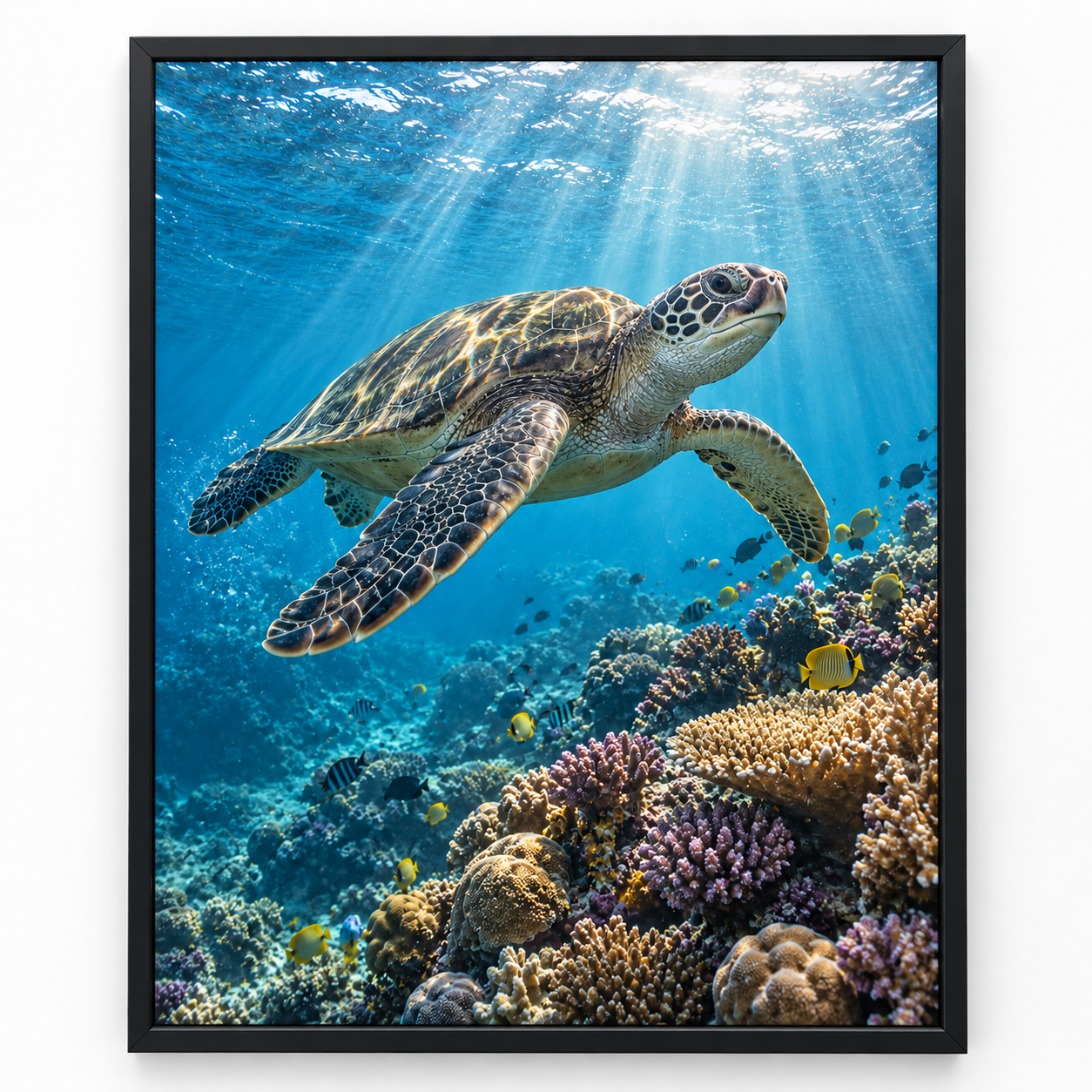 Quadro Tartaruga Marinha no Recife de Corais