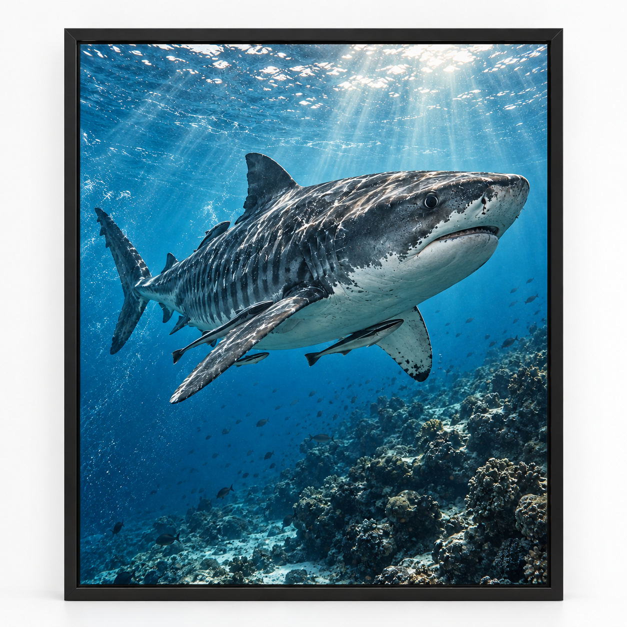Quadro Tubarão-Branco no Oceano