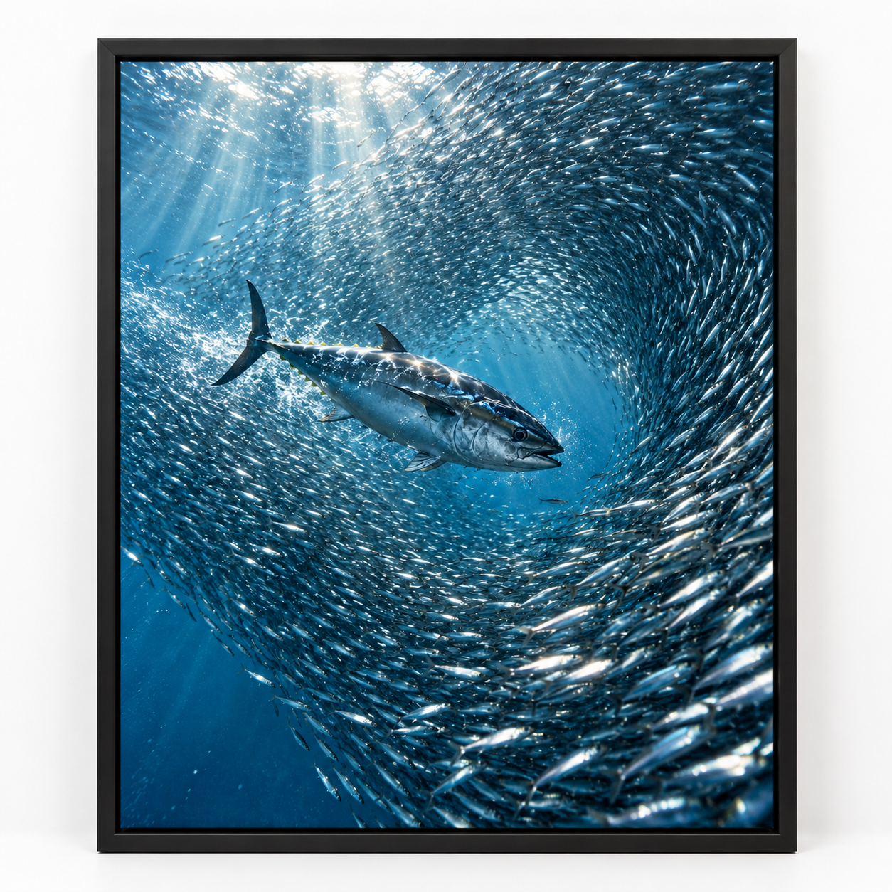 Quadro Atum e Cardume no Oceano