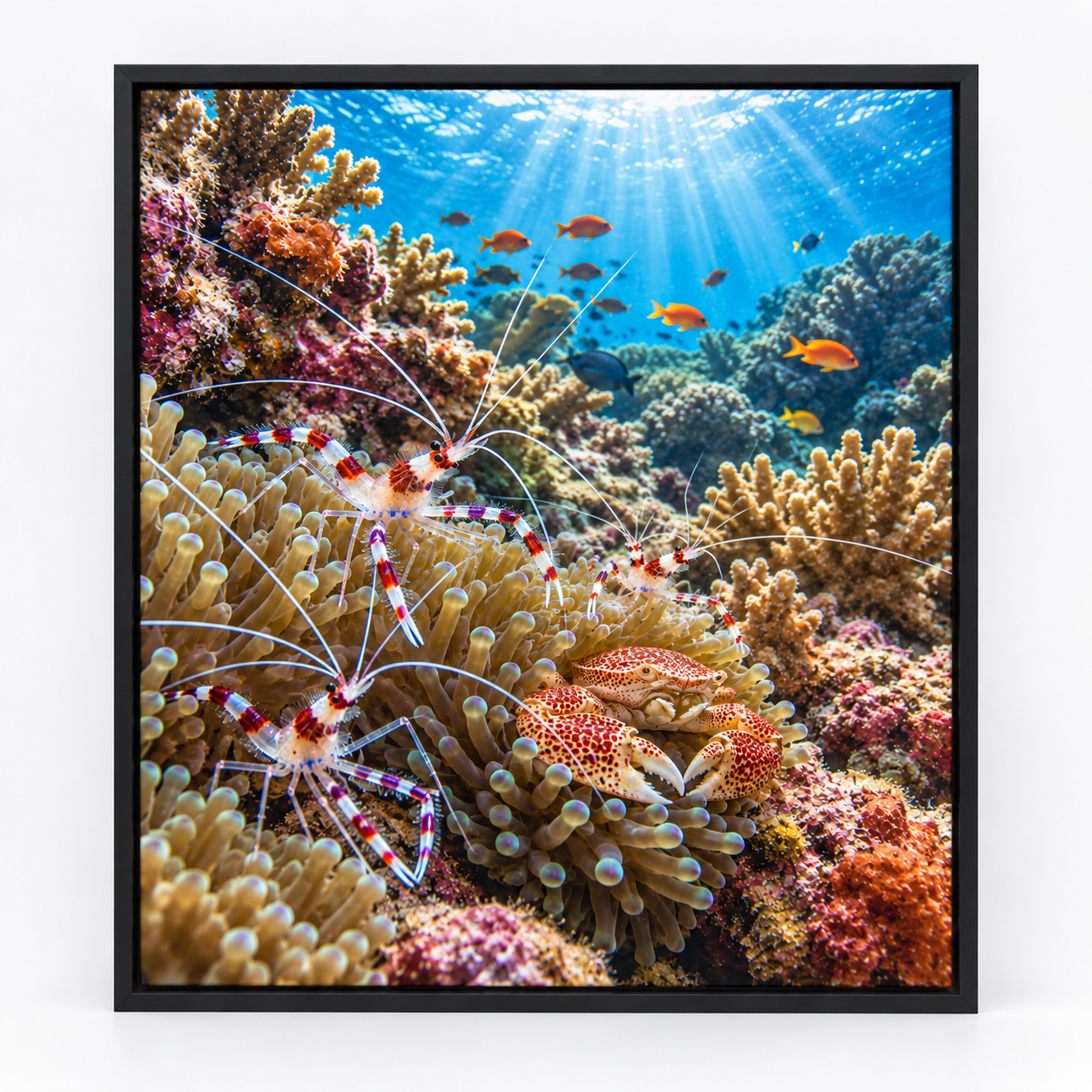 Quadro Camarões e Caranguejo no Recife de Corais
