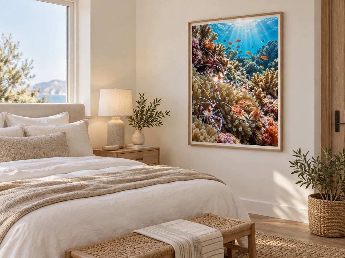 Quadro Camarões e Caranguejo no Recife de Corais
