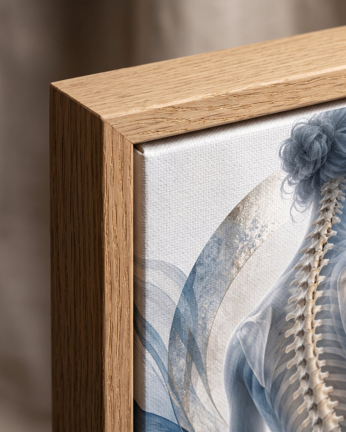 Quadro Anatomia da Coluna Vertebral