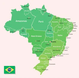 Quadro Mapa do Brasil Fine Art